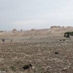 Journey to Ancient Bacteria/Balkh