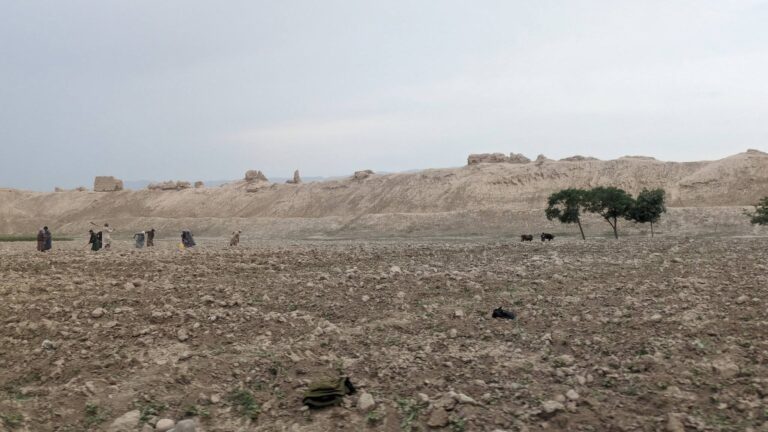 Journey to Ancient Bacteria/Balkh
